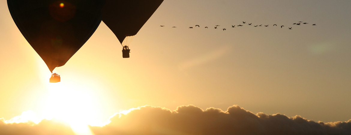 Hot Air Balloon rides over the sunny Port Douglas