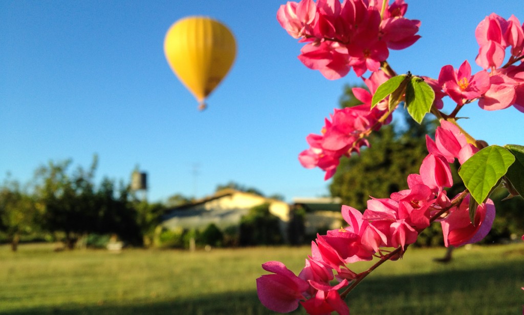 Creative Photographic framing of a Hot Air Balloon